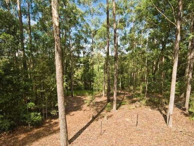 104 Chevallum Road, Palmwoods QLD 4555