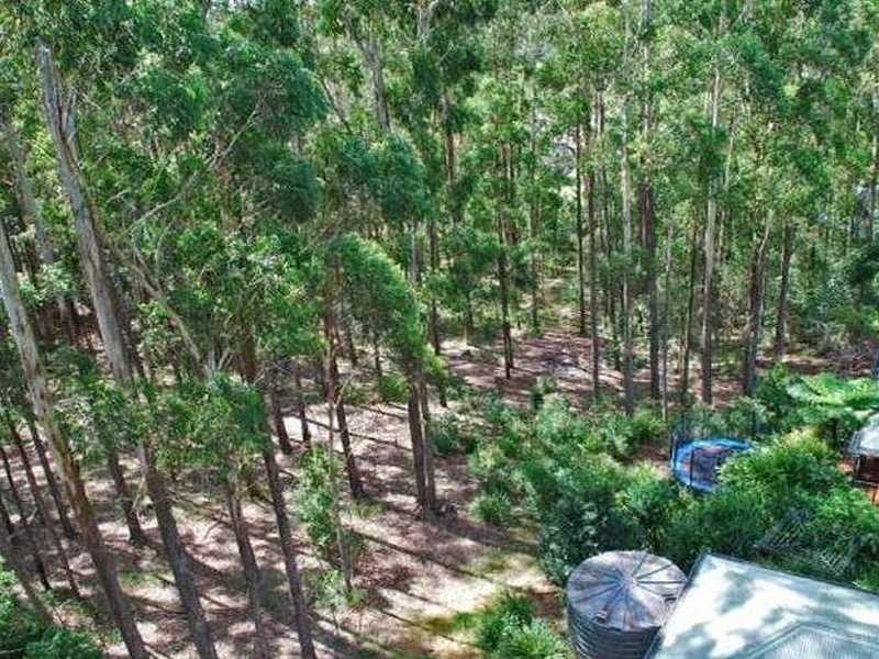 104 Chevallum Road, Palmwoods QLD 4555