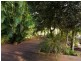 143 McGilchrists Road, Eudlo QLD 4554