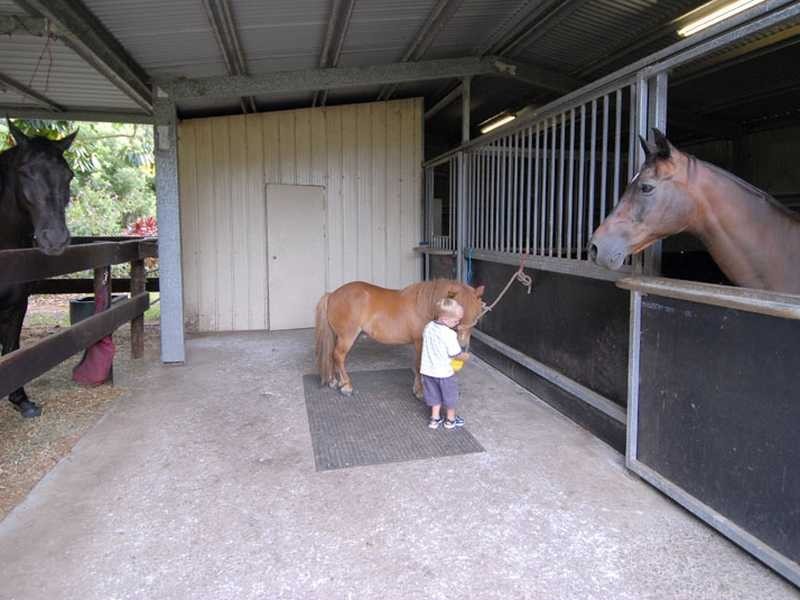 30 Bamboo Road, Palmwoods QLD 4555