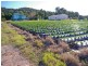 141 Valdora Road, Valdora QLD 4561