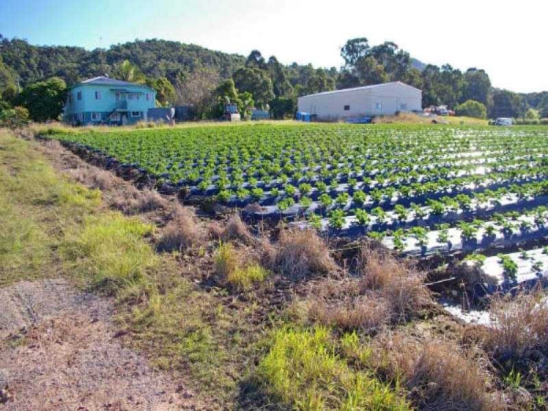 141 Valdora Road, Valdora QLD 4561