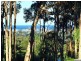 9 Dixon Road, Buderim QLD 4556