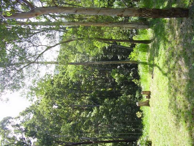 14 Martins Creek Rd, Buderim QLD 4556