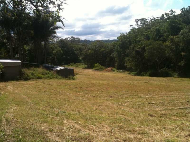 241 Diddillibah Road, Diddillibah QLD 4559