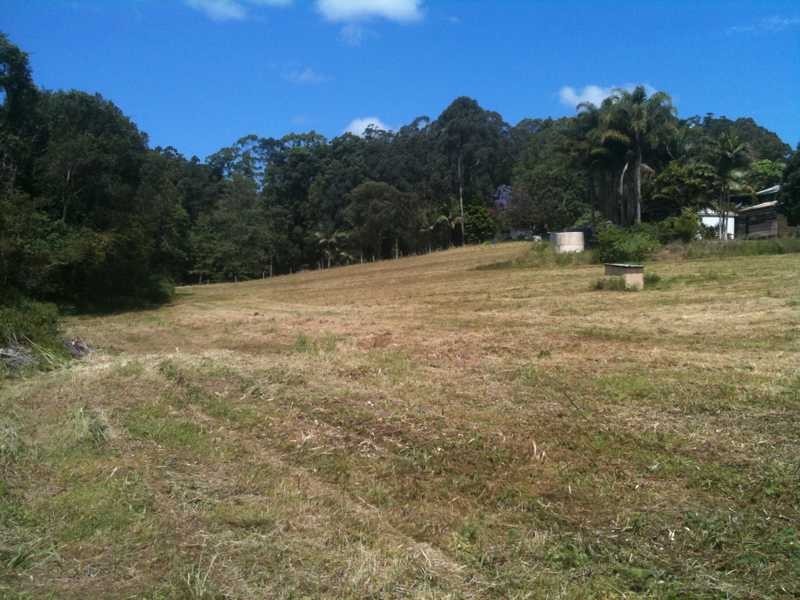 241 Diddillibah Road, Diddillibah QLD 4559