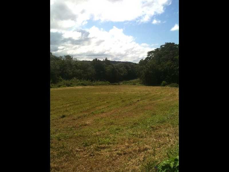 241 Diddillibah Road, Diddillibah QLD 4559