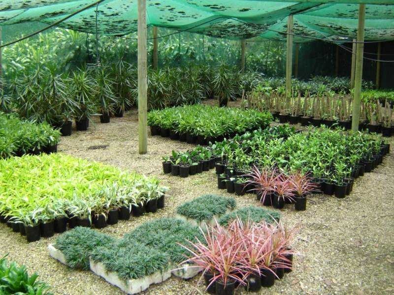 74 Myla Road, Landsborough QLD 4550