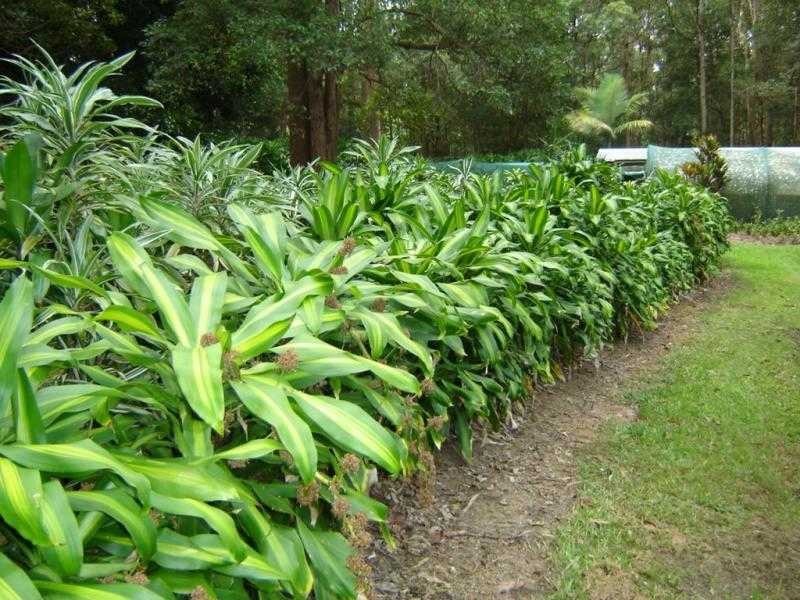 74 Myla Road, Landsborough QLD 4550