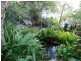 17 Parle Cr, Buderim QLD 4556