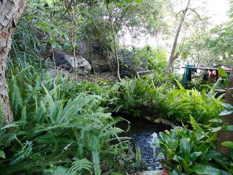 17 Parle Cr, Buderim QLD 4556