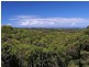 49 Nyes Crescent, Buderim QLD 4556