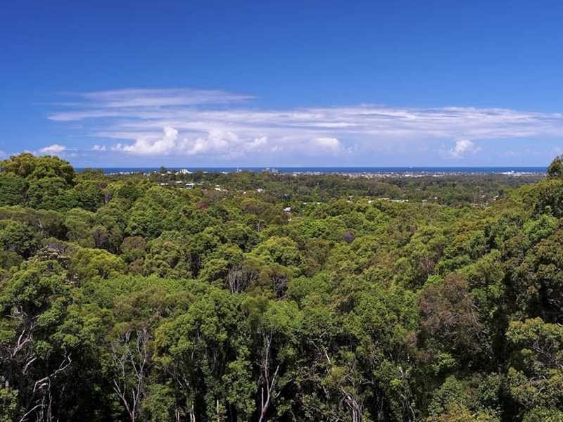 49 Nyes Crescent, Buderim QLD 4556