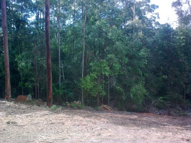 Lot 1 / 202 Mons School Road, Buderim QLD 4556