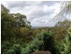 196 Mooloolaba Road, Buderim QLD 4556
