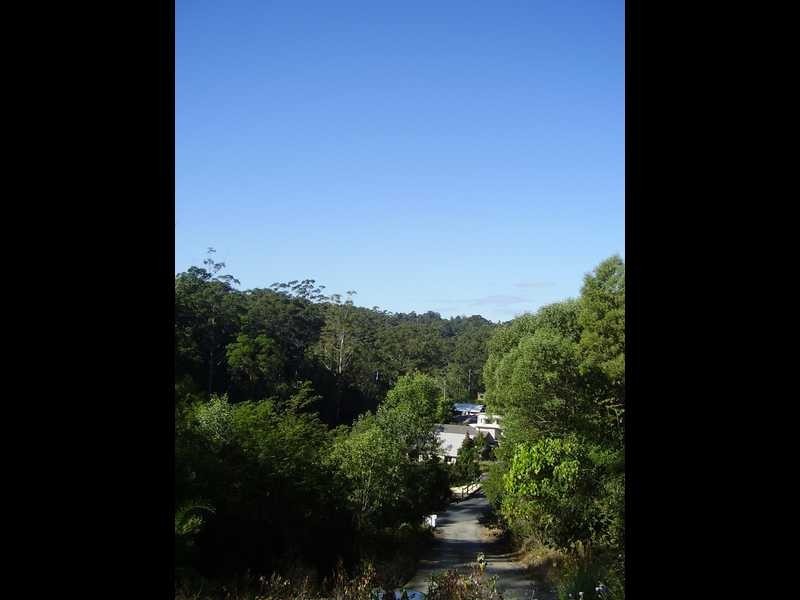 79 Martins Creek Rd, Buderim QLD 4556