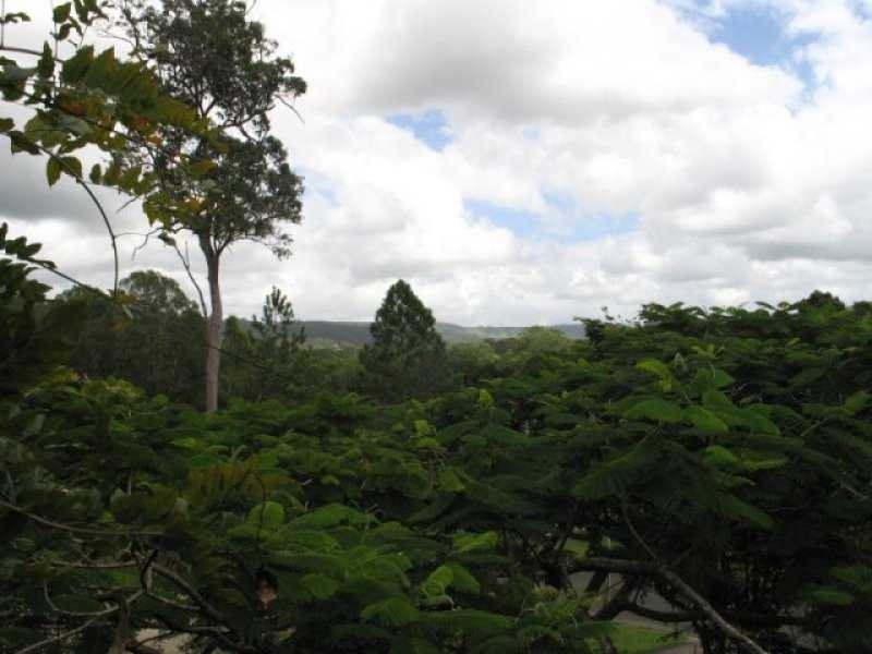 32 Suzen Court, Mooloolah Valley QLD 4553