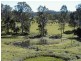 99 Simba Road, West Woombye QLD 4559