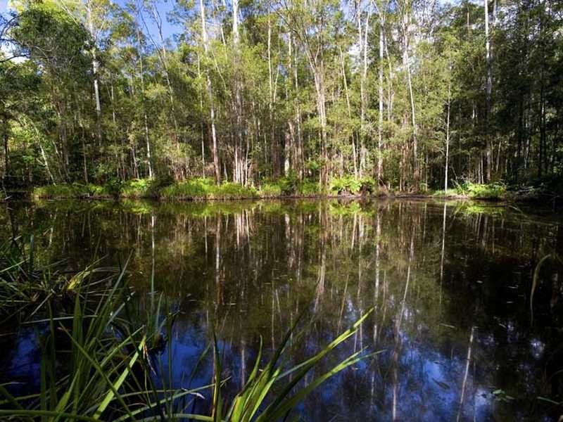 409 Ilkley Road, Ilkley QLD 4554