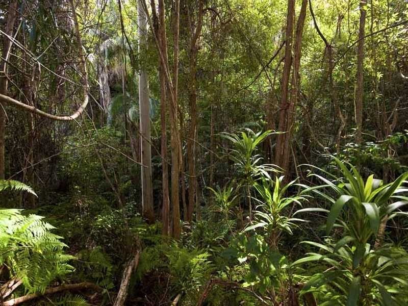 409 Ilkley Road, Ilkley QLD 4554