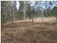 Lot 1 Sexton Road, Munna Creek QLD 4570