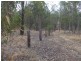 Lot 1 Sexton Road, Munna Creek QLD 4570