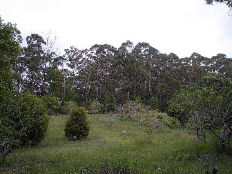 21 Wilsons Road, Ilkley QLD 4554