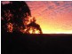611 Ilkley Road, Ilkley QLD 4554
