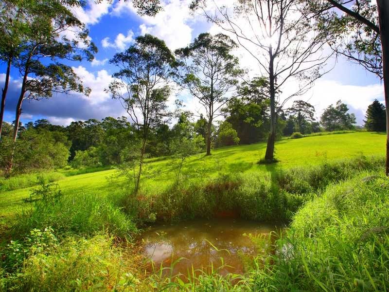 128 McKees Road, Palmwoods QLD 4555