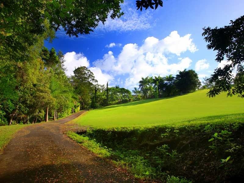 128 McKees Road, Palmwoods QLD 4555