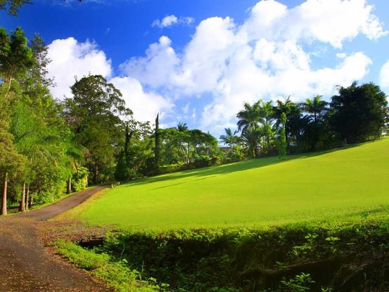 128 McKees Road, Palmwoods QLD 4555