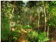 128 McKees Road, Palmwoods QLD 4555