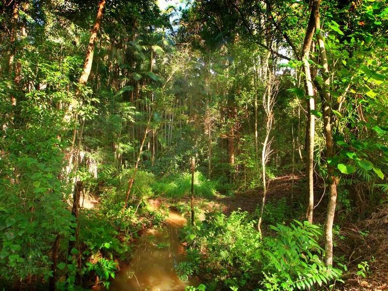 128 McKees Road, Palmwoods QLD 4555