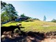 103 Perrins Road, Eudlo QLD 4554