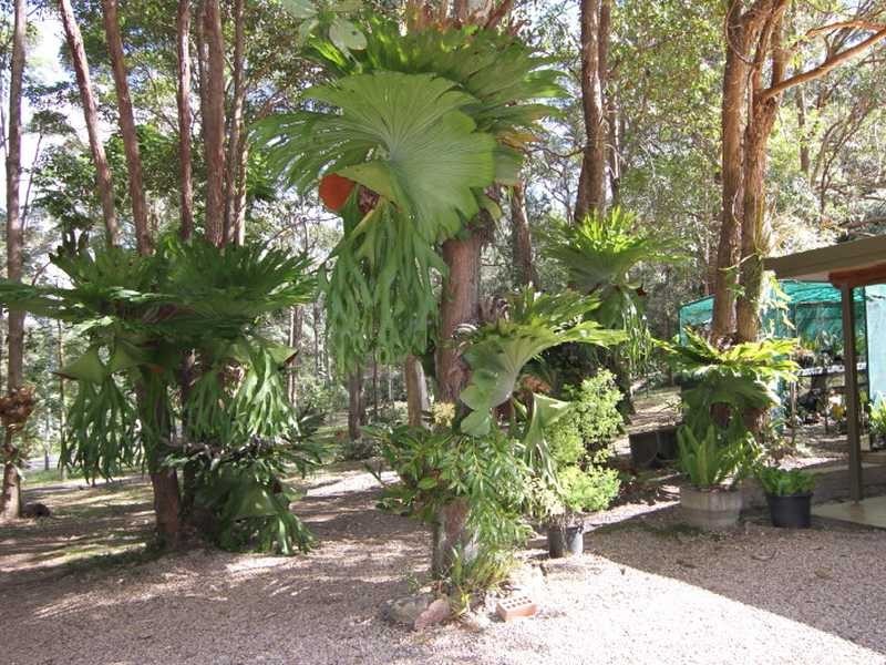 76 Misty Rise Road, Nambour QLD 4560