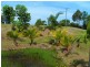 83 Atkinson Road, Bli Bli QLD 4560