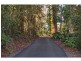 186 Old Palmwoods Road, Palmwoods QLD 4555