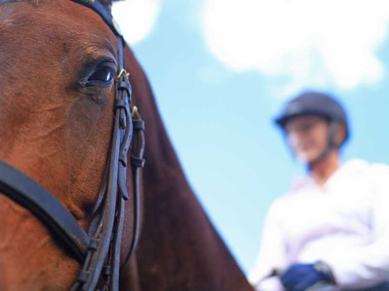 192 Dulong Road, Dulong QLD 4560