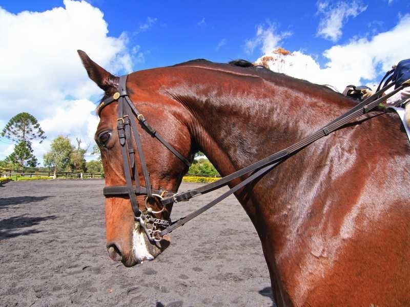 192 Dulong Road, Dulong QLD 4560