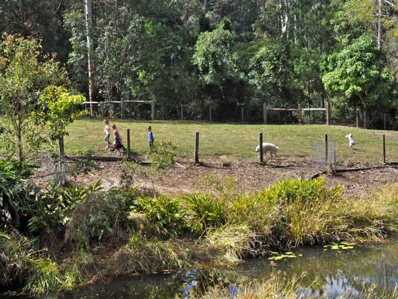 246 Paskins Road, Palmwoods QLD 4555