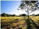 165 Slaughter Yard Road, Palmwoods QLD 4555