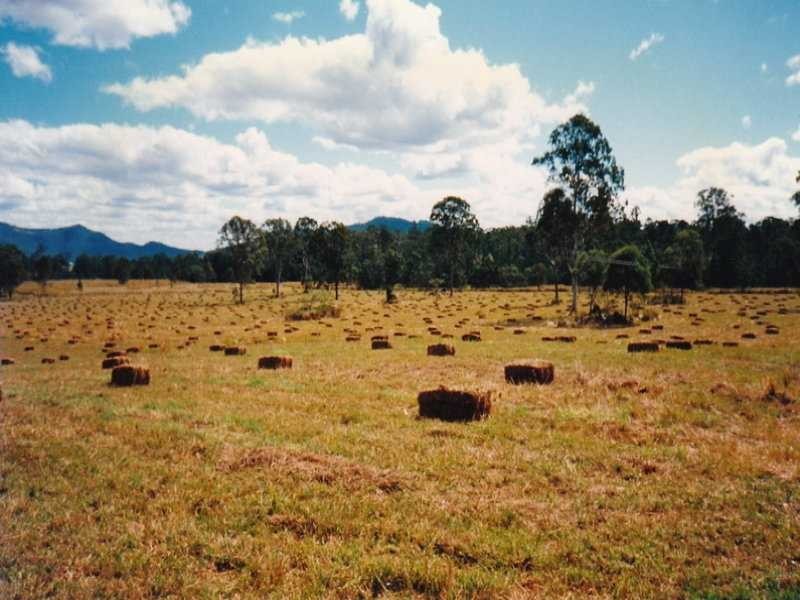 Lot 4 Oakey Creek Road, Kenilworth QLD 4574