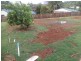 Lot 5 Koorawatha Lane, Palmwoods QLD 4555