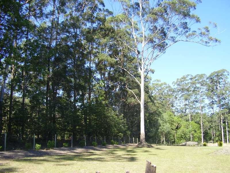 11 Dunkeld Court, Forest Glen QLD 4556