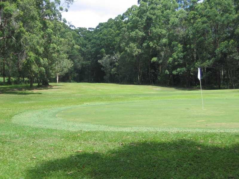 31 Palm Creek Road, Tanawha QLD 4556