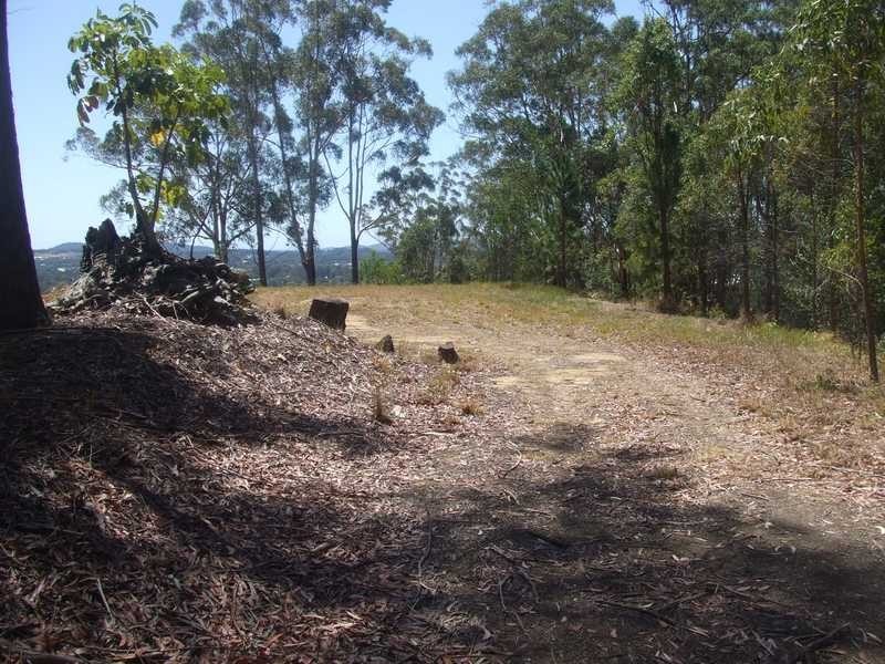 371 Palmwoods Montville Rd, Palmwoods QLD 4555