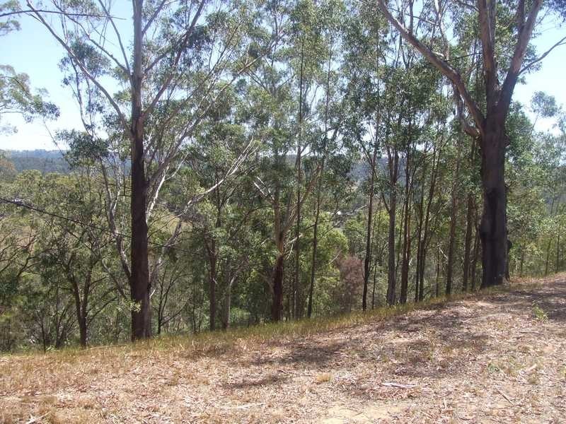 371 Palmwoods Montville Rd, Palmwoods QLD 4555