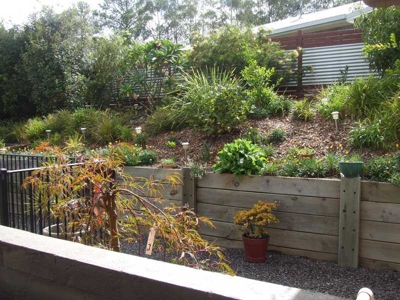 19 Harris Drive, Palmwoods QLD 4555