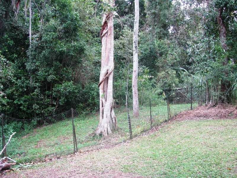 6 Browning Blvd, Buderim QLD 4556