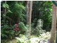8 Hickory Court, Buderim QLD 4556